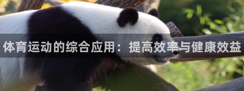 凯发官方平台体育：体育运动的综合应用：提高效率与健康