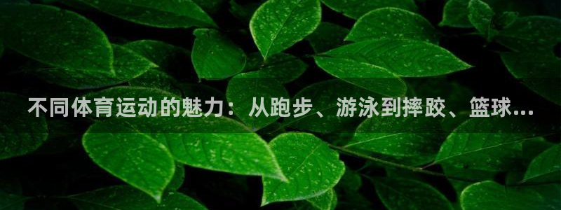 凯发官网下载招商电话号码查询是多少