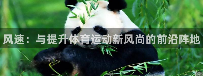 凯发官网下载平台APP