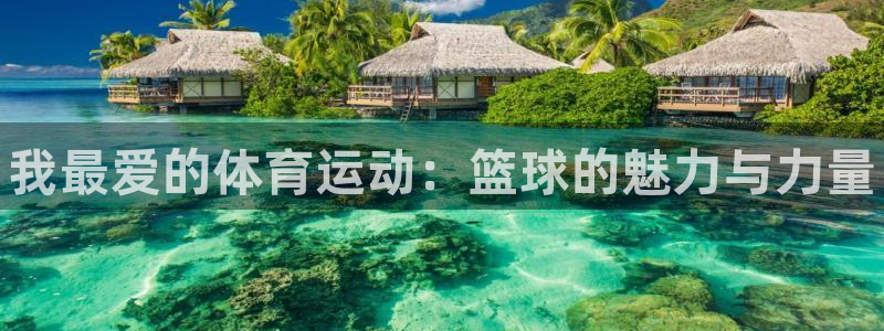 凯发官方正版app集团简介：我最爱的体育运动：篮球的魅力与力