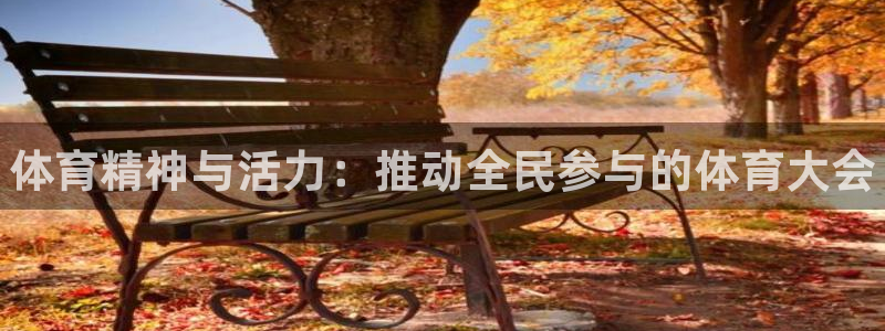 注册凯发官方正版app：体育精神与活力：推动全民参与