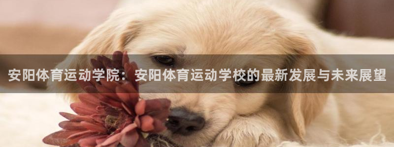 凯发官网下载软件：安阳体育运动学院：安阳体育运动学校的最新发