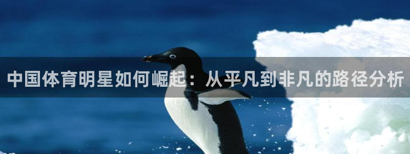 凯发官方正版app集团简介：中国体育明星如何崛起：从平凡到非