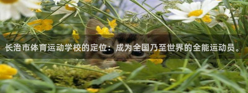 凯发官方正版app娱乐是那个系列的台子