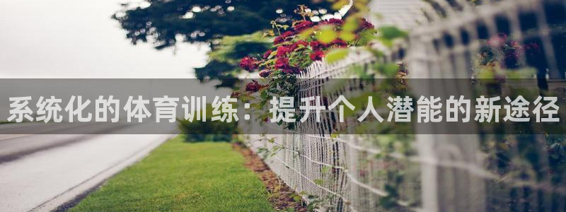 凯发官网下载招商电话地址查询：系统化的体育训练：提升个人潜能
