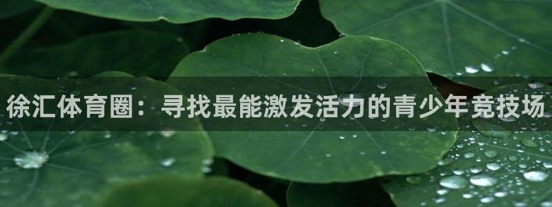 凯发官方正版app集团官网网址：徐汇体育圈：寻找最能激发活力