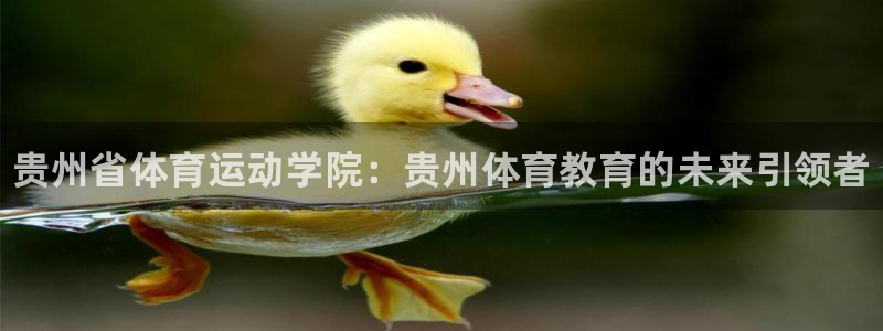 凯发官方正版app集团：贵州省体育运动学院：贵州体育