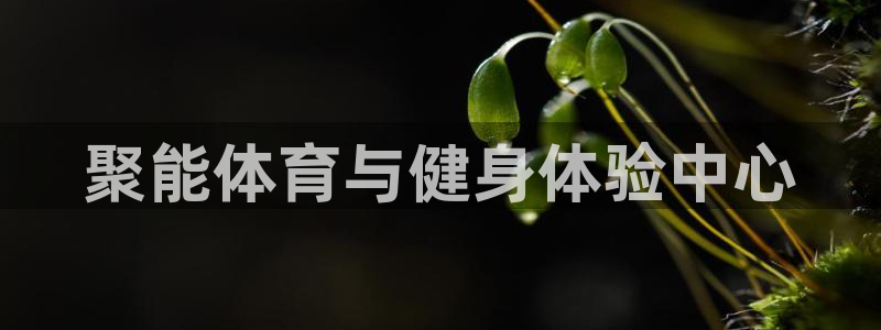 凯发官网下载招商电话号码是多少：聚能体育与健身体验中