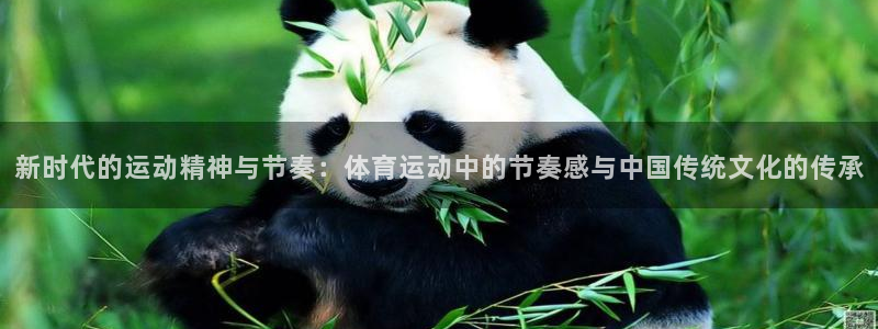 凯发官网下载软件：新时代的运动精神与节奏：体育运动中