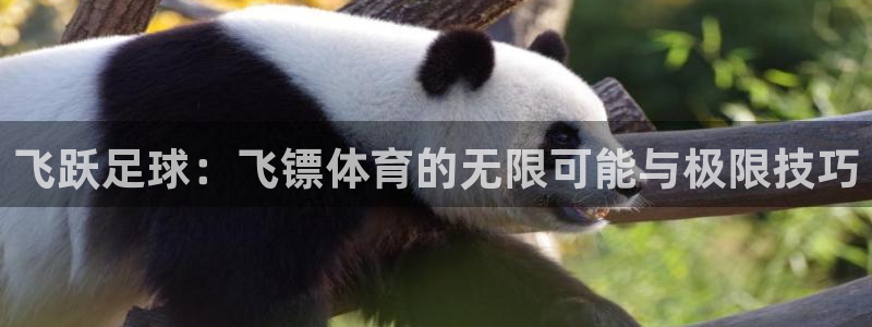 凯发官方正版app集团简介:飞跃足球:飞镖体育的无限可能与极