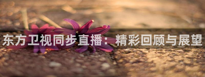 51视频在线直播nba：东方卫视同步直播：精彩回顾与展望