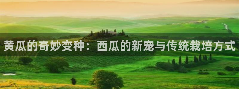 51视频在线直播nba：黄瓜的奇妙变种：西瓜的新宠与传统栽培方式